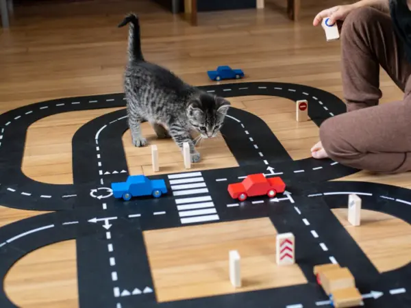 waytoplay King of the Road - Car Edition – Bild 4
